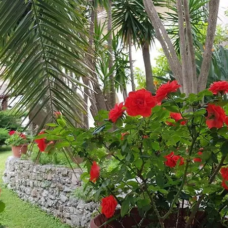 Ξενοδοχείο Adriana 3*