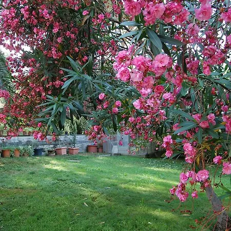 Adriana מלון מונטרוסו אל מארה