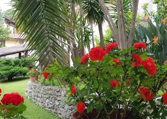 Hotel Adriana 3*