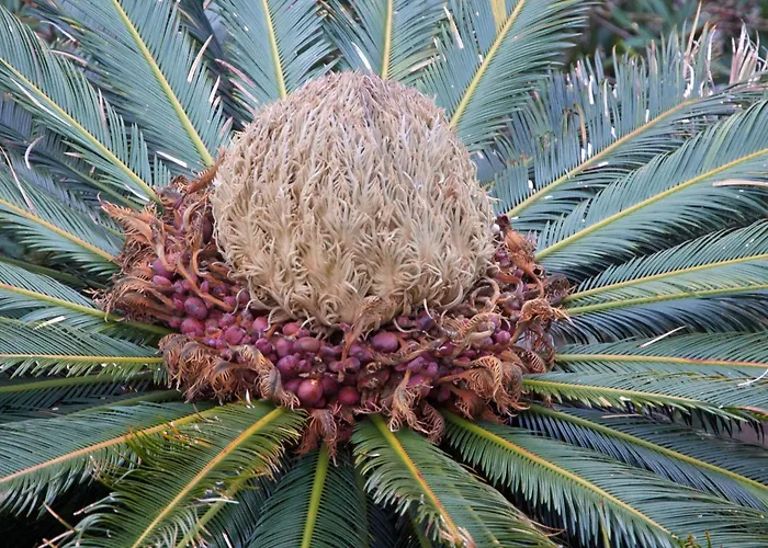 Hotel Adriana Monterosso al Mare